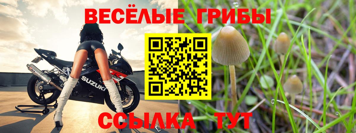 Брянск  Галлюциногенные грибы мухоморы  Вход с VPN 